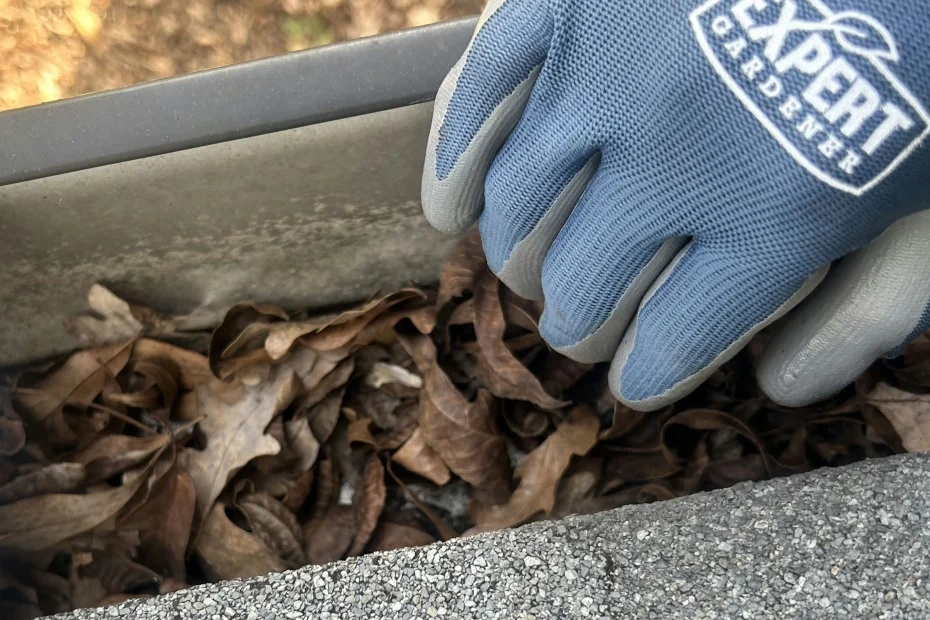 Gutter Cleaning Eustis FL