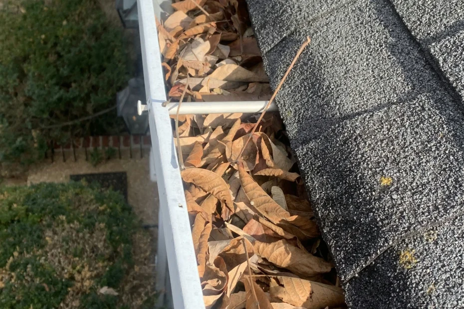 Gutter Cleaning Eustis FL