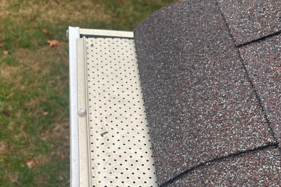 Gutter Cleaning Eustis FL