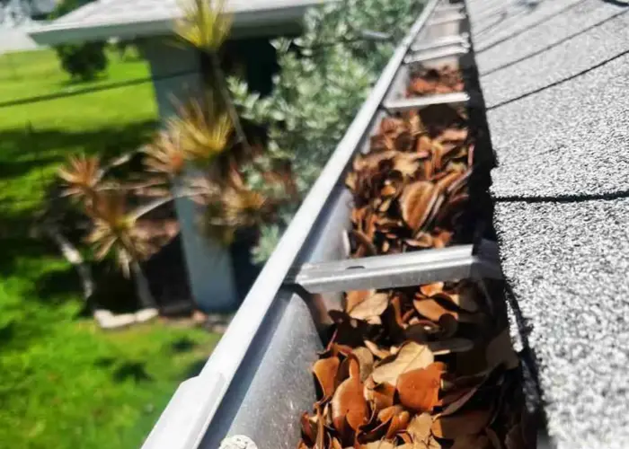 Gutter Cleaning Eustis FL home page